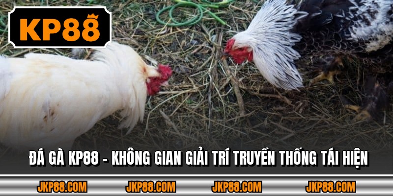 Đá Gà Kp88 – Không Gian Giải Trí Truyền Thống Tái Hiện
