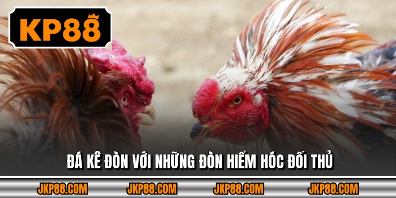Đá kê đòn với những đòn hiểm hóc đối thủ