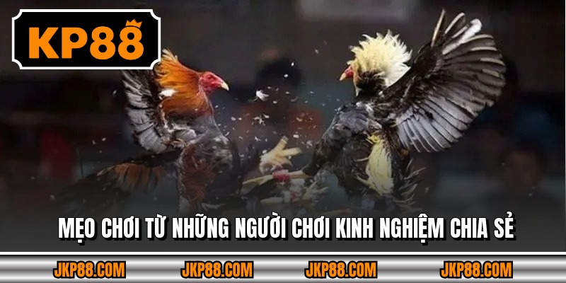 Mẹo chơi từ những người chơi kinh nghiệm chia sẻ 