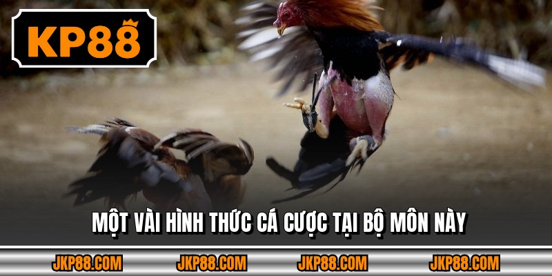 Một vài hình thức cá cược tại bộ môn này