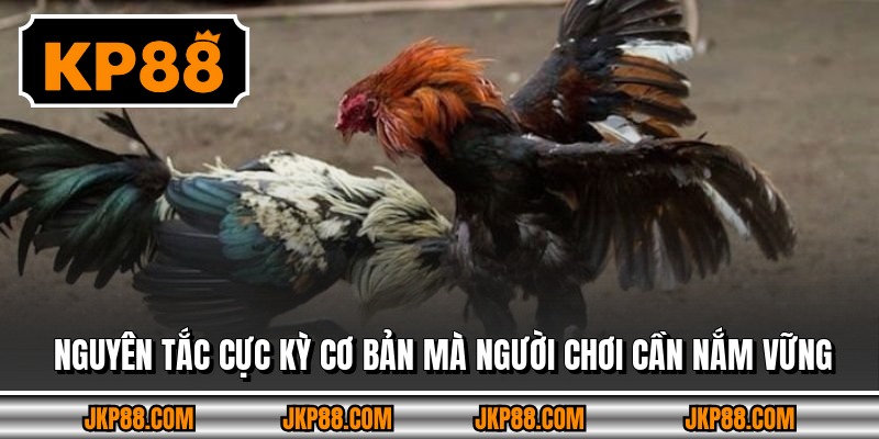 Nguyên tắc cực kỳ cơ bản mà người chơi cần nắm vững